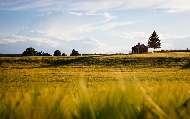 countryside