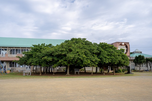 Kagoshima