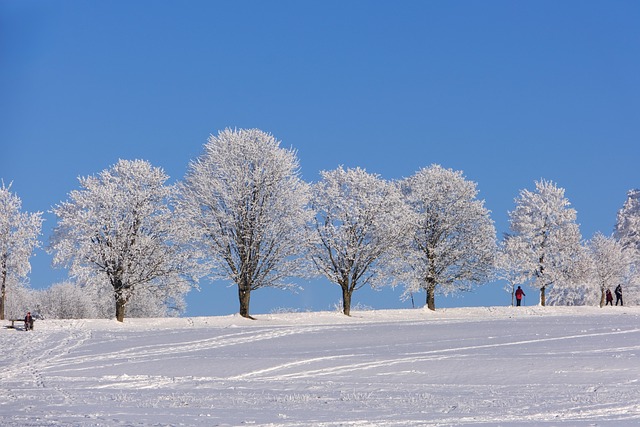 ice
